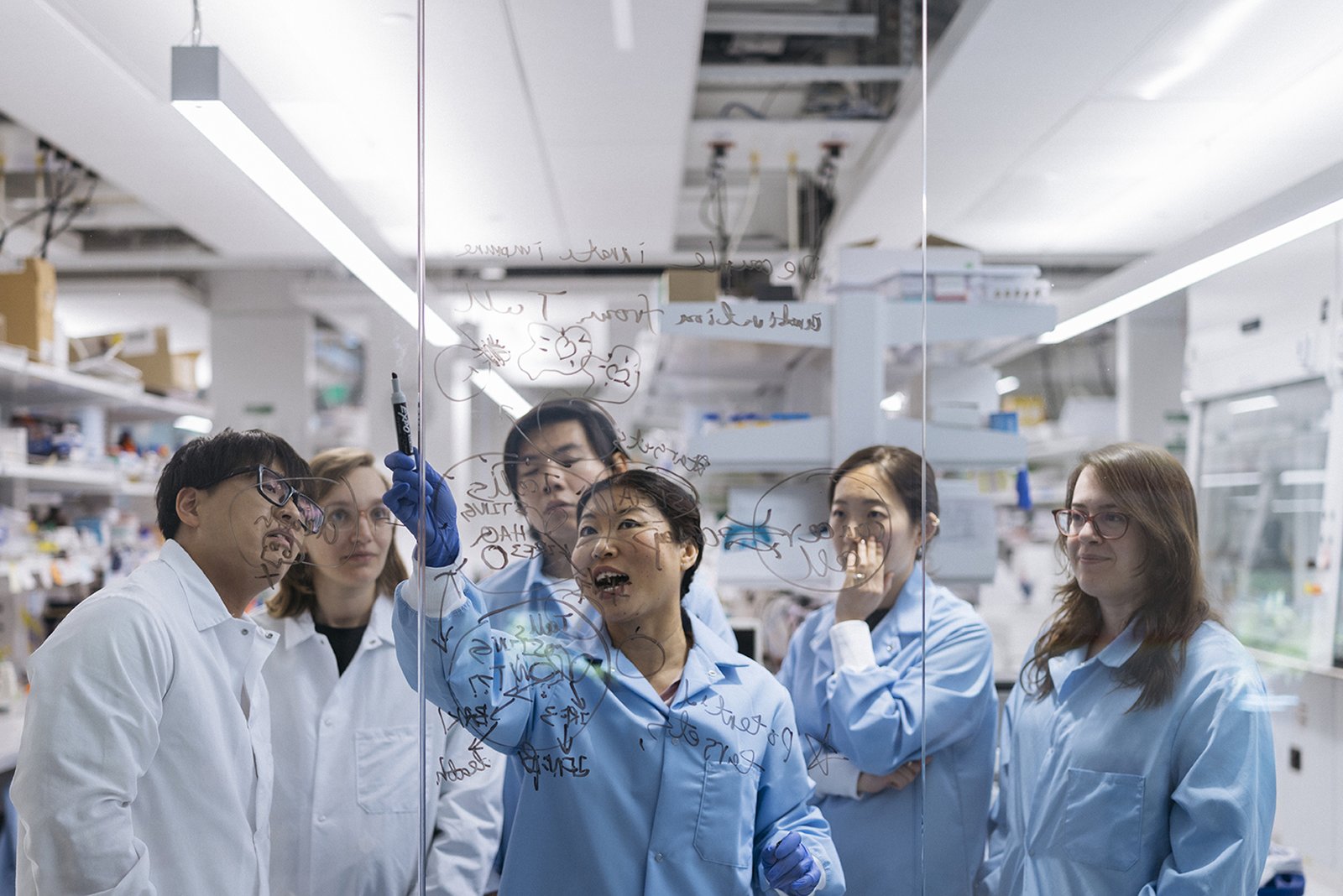 Biochemist Lingyin Li and colleagues discussing molecular structures at Stanford.