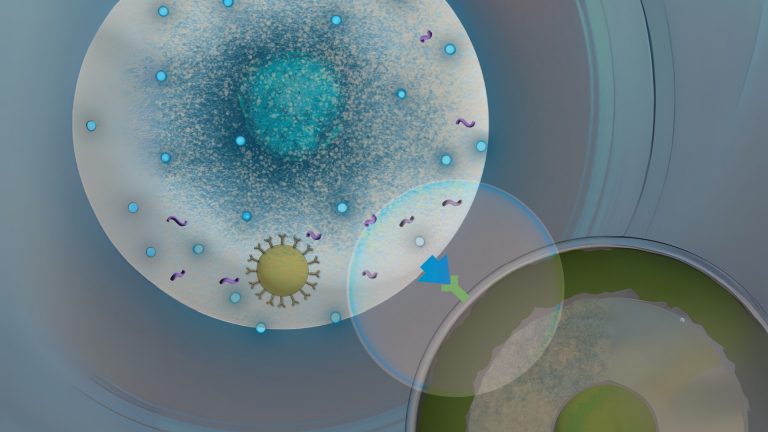 A lipid nanoparticle delivers mRNA to a T cell; conceptual illustration.