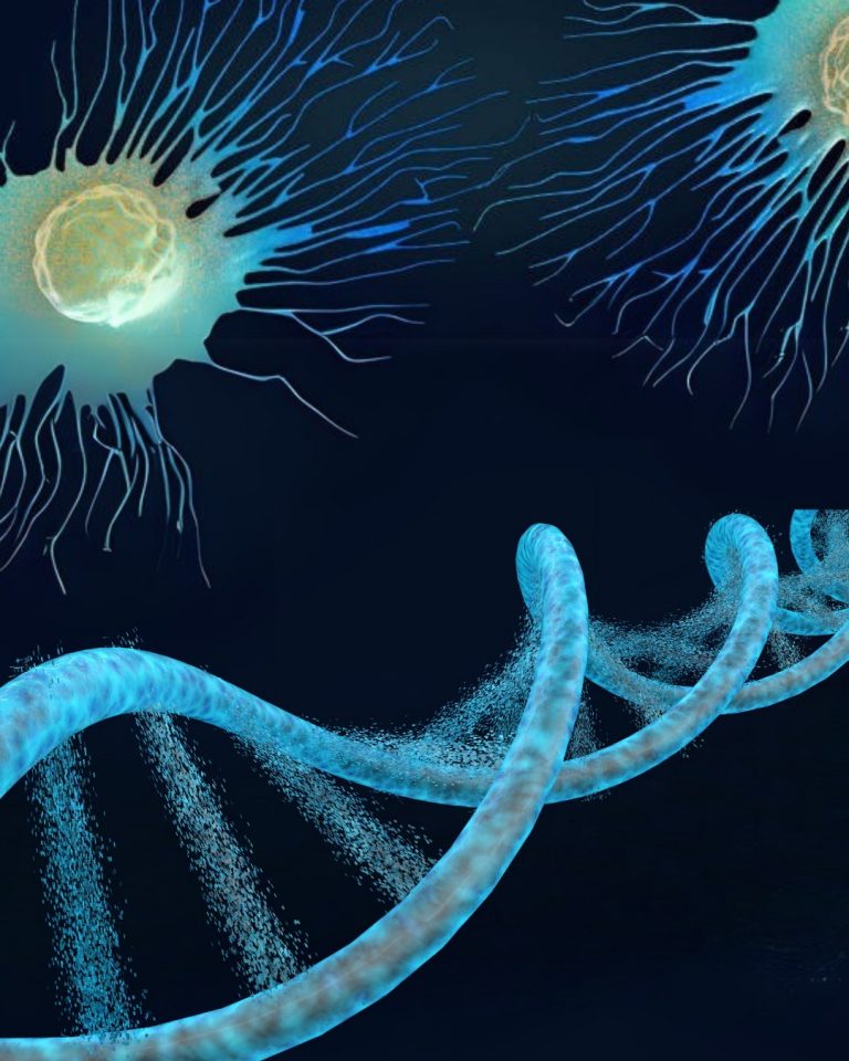 Illustration accompanying Stanford Medicine’s coverage of inherited cancer-risk variants.