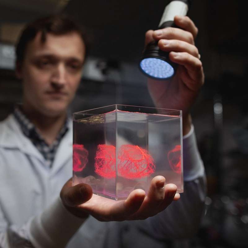 Mark Skylar-Scott investigating engineered living tissues at Stanford.